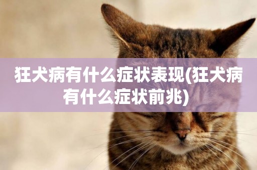 狂犬病有什么癥狀表現(狂犬病有什么癥狀前兆) 