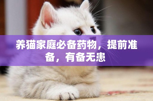 養貓家庭必備藥物，提前準備，有備無患 