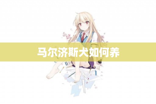 馬爾濟斯犬如何養