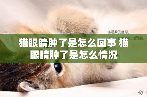 貓眼睛腫了是怎么回事 貓眼睛腫了是怎么情況