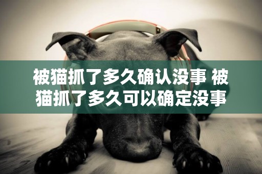 被貓抓了多久確認沒事 被貓抓了多久可以確定沒事