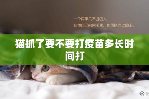 貓抓了要不要打疫苗多長時間打