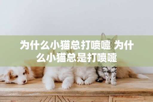 為什么小貓總打噴嚏 為什么小貓總是打噴嚏