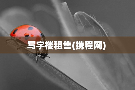 寫字樓租售(攜程網) 