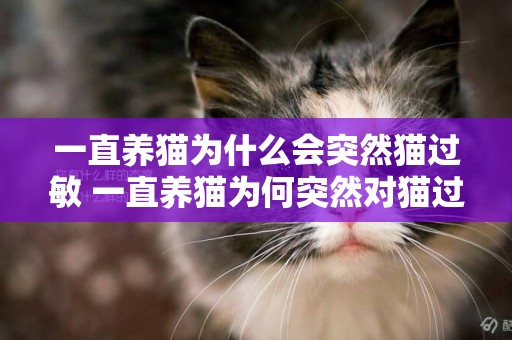 一直養貓為什么會突然貓過敏 一直養貓為何突然對貓過敏