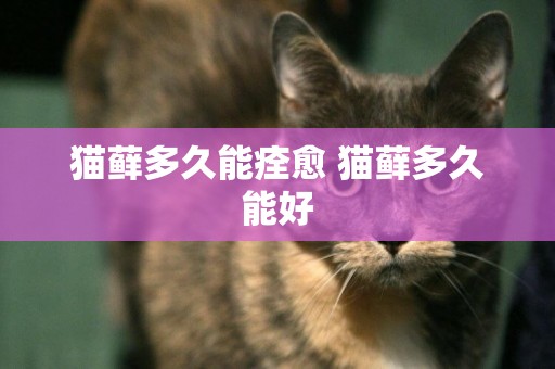 貓蘚多久能痊愈 貓蘚多久能好