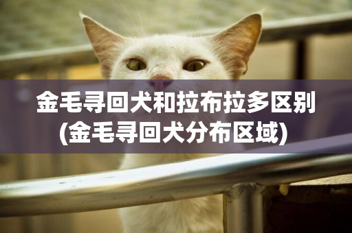 金毛尋回犬和拉布拉多區別(金毛尋回犬分布區域) 