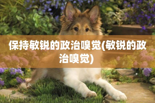 保持敏銳的政治嗅覺(敏銳的政治嗅覺) 