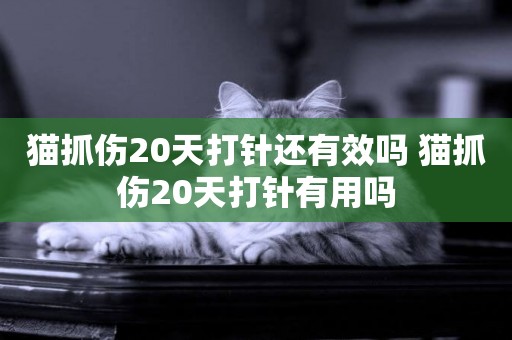 貓抓傷20天打針還有效嗎 貓抓傷20天打針有用嗎