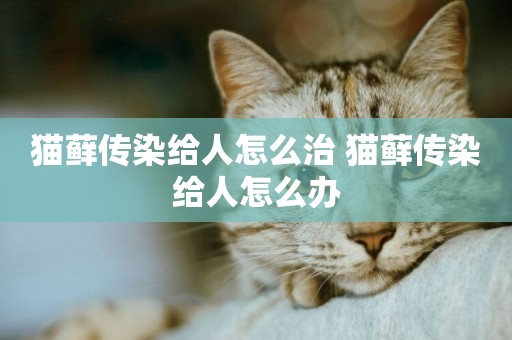 貓蘚傳染給人怎么治 貓蘚傳染給人怎么辦