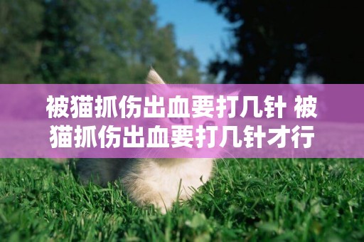 被貓抓傷出血要打幾針 被貓抓傷出血要打幾針才行