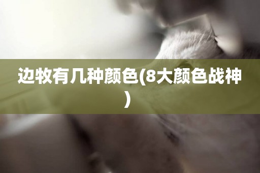 邊牧有幾種顏色(8大顏色戰神) 