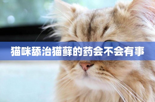 貓咪舔治貓蘚的藥會不會有事