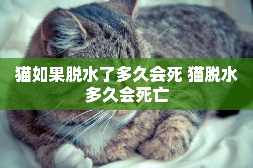 貓如果脫水了多久會死 貓脫水多久會死亡