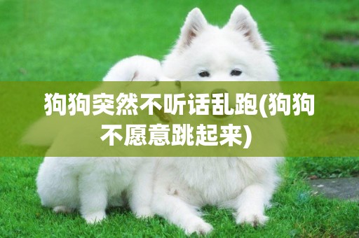 狗狗突然不聽話亂跑(狗狗不愿意跳起來) 