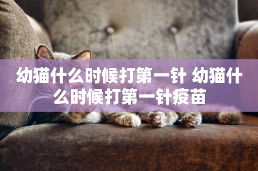 幼貓什么時候打第一針 幼貓什么時候打第一針疫苗