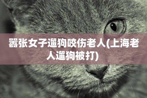 囂張女子遛狗咬傷老人(上海老人遛狗被打) 