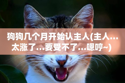 狗狗幾個月開始認主人(主人…太漲了…要受不了…嗯哼~) 