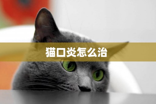貓口炎怎么治 