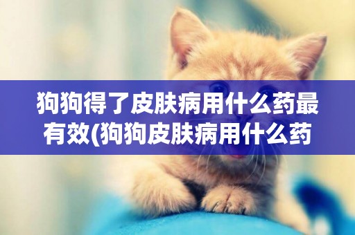 狗狗得了皮膚病用什么藥最有效(狗狗皮膚病用什么藥) 