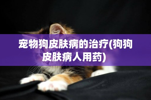 寵物狗皮膚病的治療(狗狗皮膚病人用藥) 