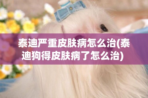 泰迪嚴重皮膚病怎么治(泰迪狗得皮膚病了怎么治) 