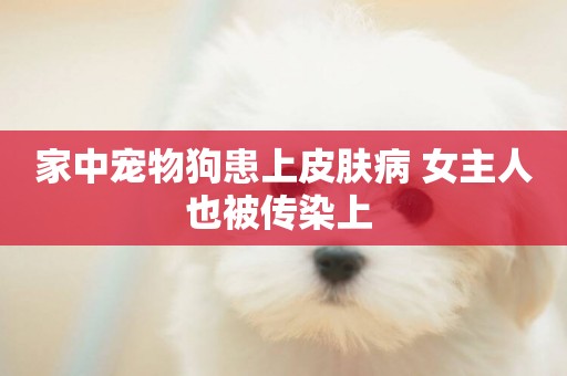家中寵物狗患上皮膚病 女主人也被傳染上 