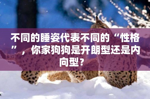 不同的睡姿代表不同的“性格”，你家狗狗是開朗型還是內向型？ 