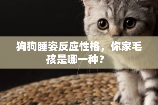 狗狗睡姿反應性格，你家毛孩是哪一種？ 