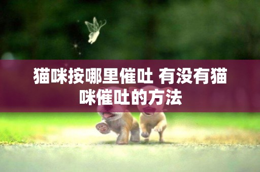 貓咪按哪里催吐 有沒有貓咪催吐的方法