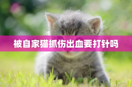 被自家貓抓傷出血要打針嗎