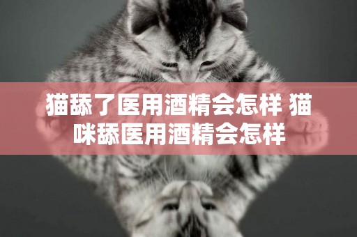 貓舔了醫用酒精會怎樣 貓咪舔醫用酒精會怎樣