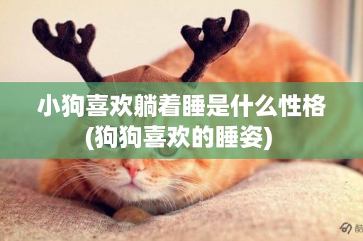 小狗喜歡躺著睡是什么性格(狗狗喜歡的睡姿) 