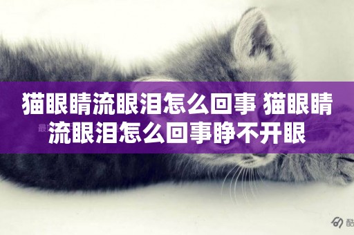 貓眼睛流眼淚怎么回事 貓眼睛流眼淚怎么回事睜不開眼
