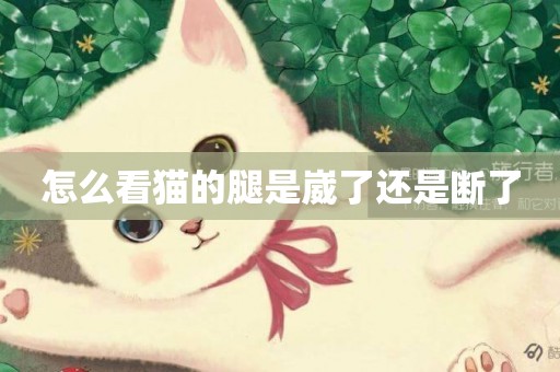 怎么看貓的腿是崴了還是斷了