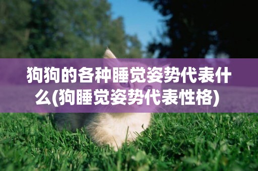 狗狗的各種睡覺姿勢代表什么(狗睡覺姿勢代表性格) 