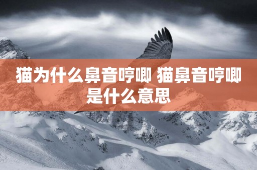 貓為什么鼻音哼唧 貓鼻音哼唧是什么意思