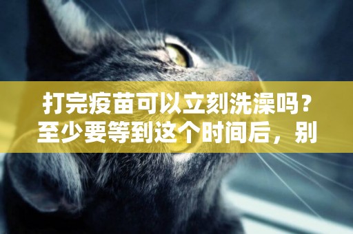 打完疫苗可以立刻洗澡嗎？至少要等到這個時間后，別心急 