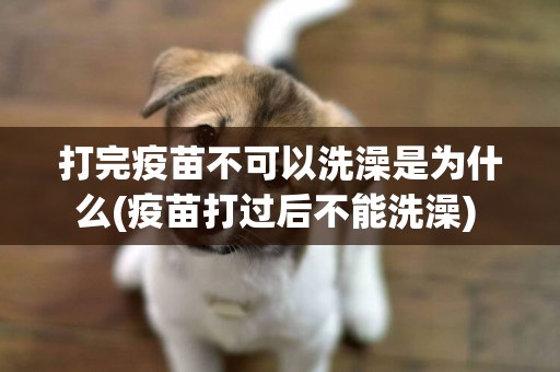 打完疫苗不可以洗澡是為什么(疫苗打過后不能洗澡) 