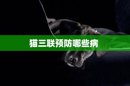 貓三聯預防哪些病 