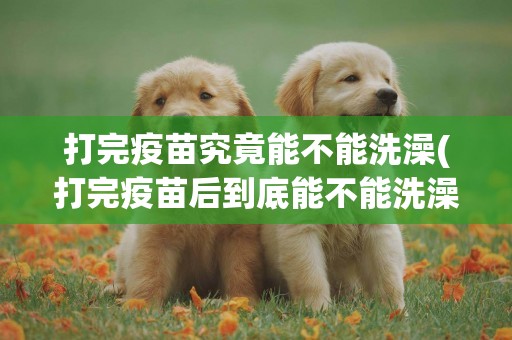 打完疫苗究竟能不能洗澡(打完疫苗后到底能不能洗澡) 