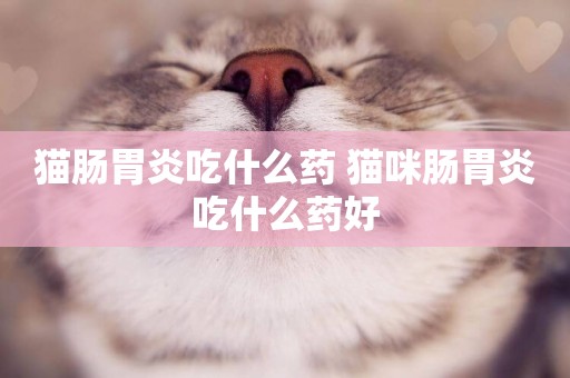 貓腸胃炎吃什么藥 貓咪腸胃炎吃什么藥好