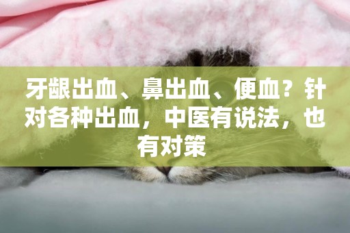 牙齦出血、鼻出血、便血？針對各種出血，中醫有說法，也有對策 