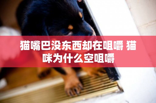 貓嘴巴沒東西卻在咀嚼 貓咪為什么空咀嚼