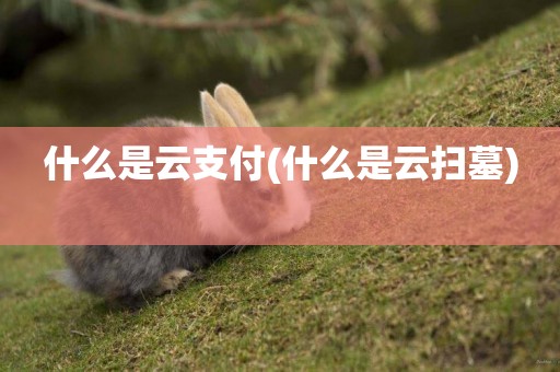 什么是云支付(什么是云掃墓) 