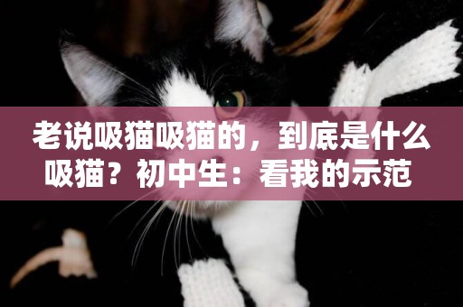 老說吸貓吸貓的，到底是什么吸貓？初中生：看我的示范 