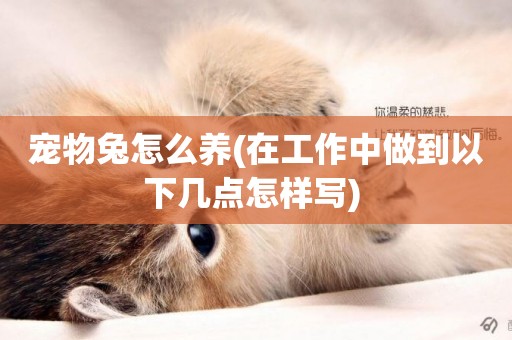 寵物兔怎么養(在工作中做到以下幾點怎樣寫) 