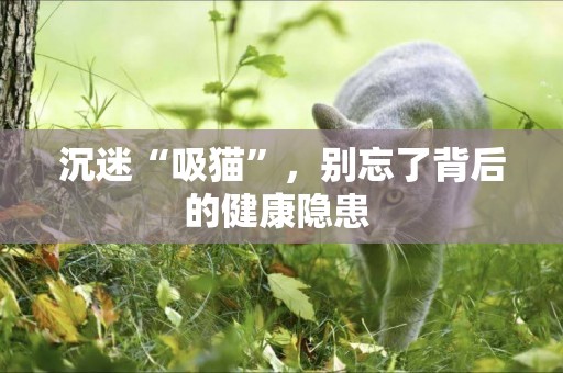 沉迷“吸貓”，別忘了背后的健康隱患 