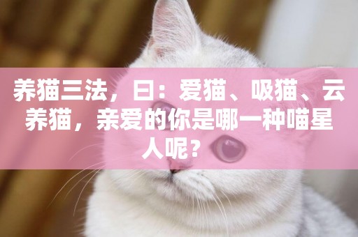 養貓三法，曰：愛貓、吸貓、云養貓，親愛的你是哪一種喵星人呢？ 