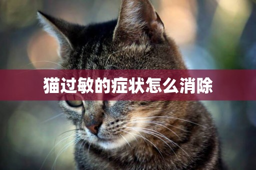 貓過敏的癥狀怎么消除